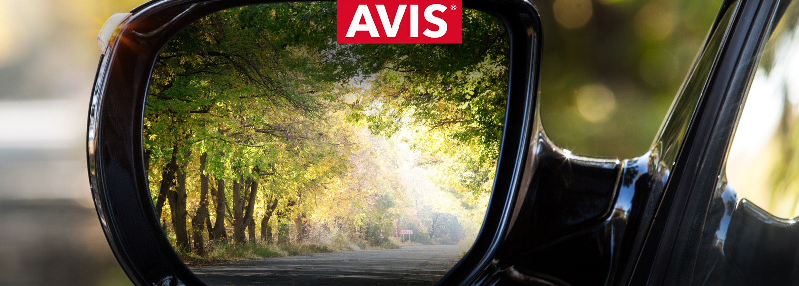 Avis